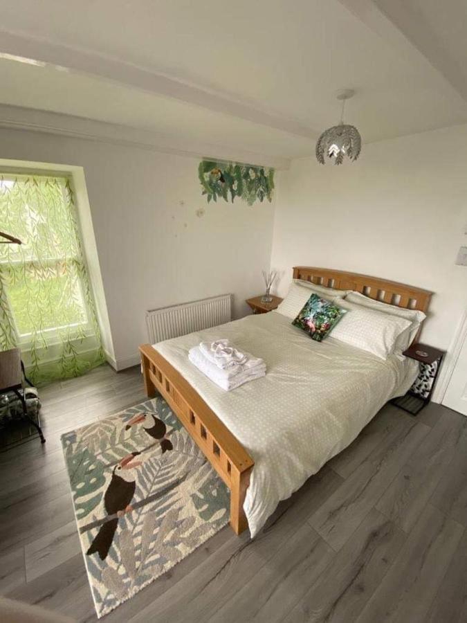 Woodlands Bellevue Bed & Breakfast New Quay  Exterior photo